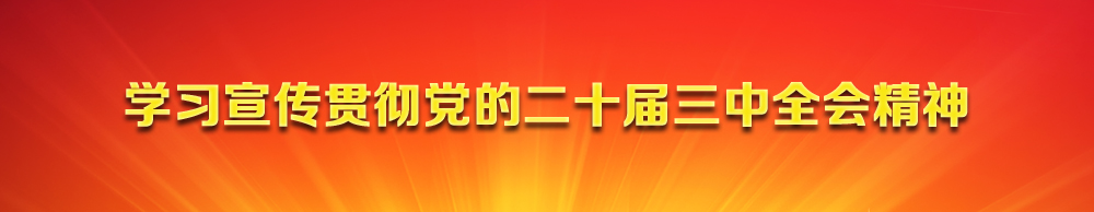 二十届三中全会